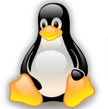 Linux logo